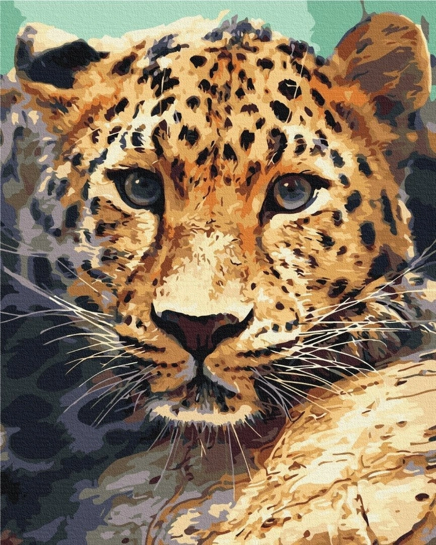 Pegasus Elliot Mackenzie Publishers Paint it