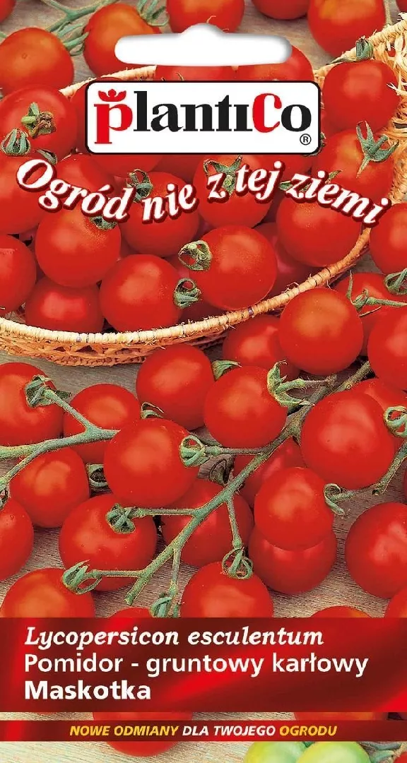 Plantico Pomidor Gruntowy Solanum Lycopersicum L