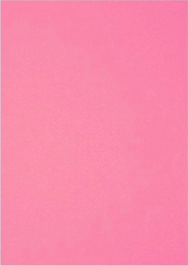 Decorative felt pink 20x30cm 10 pcs