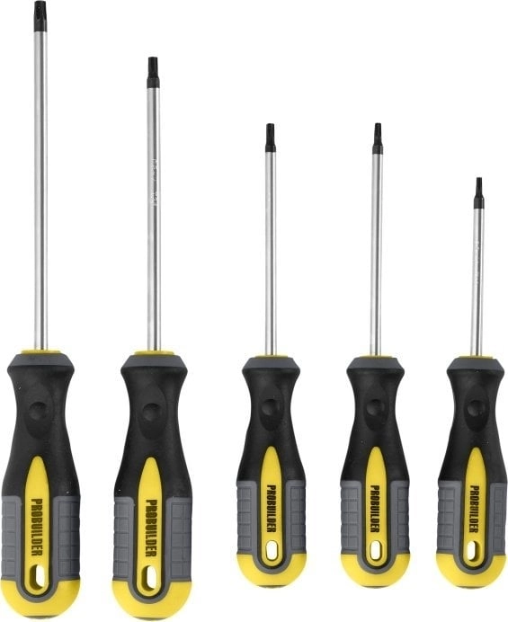 PROBUILDER - SCREWDRIVER SET TORX 5