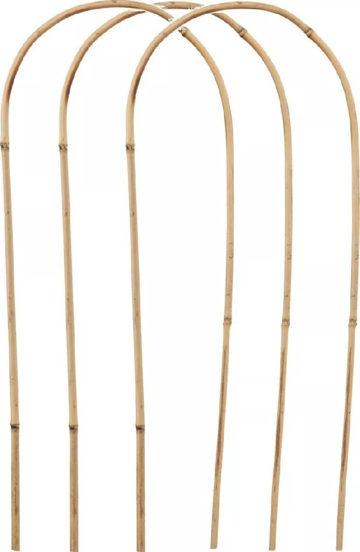 PLANTS SUPPORT BAMBOO BARREL 3PCS PROGARDEN