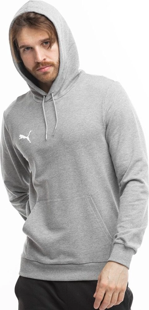 Puma Team Goal Casuals Hoody grey