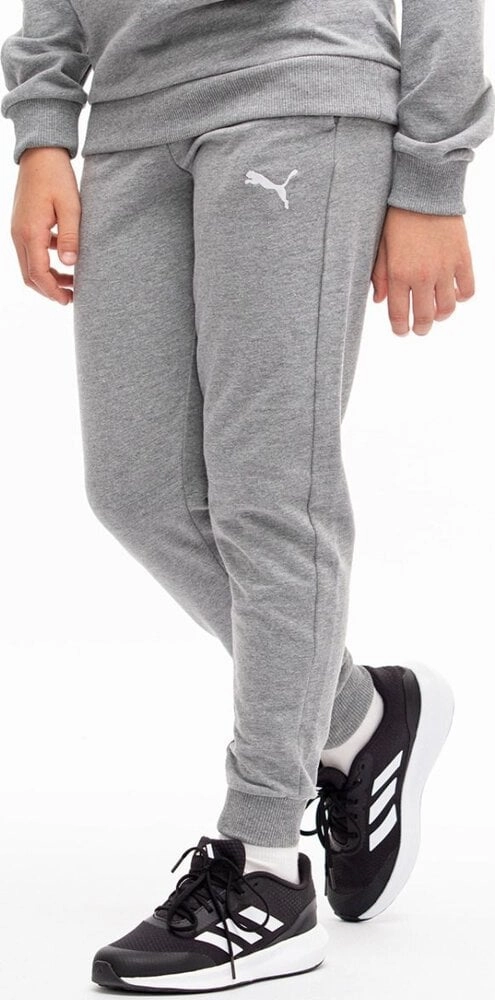 Puma Team Goal Kids```` Pants Grey