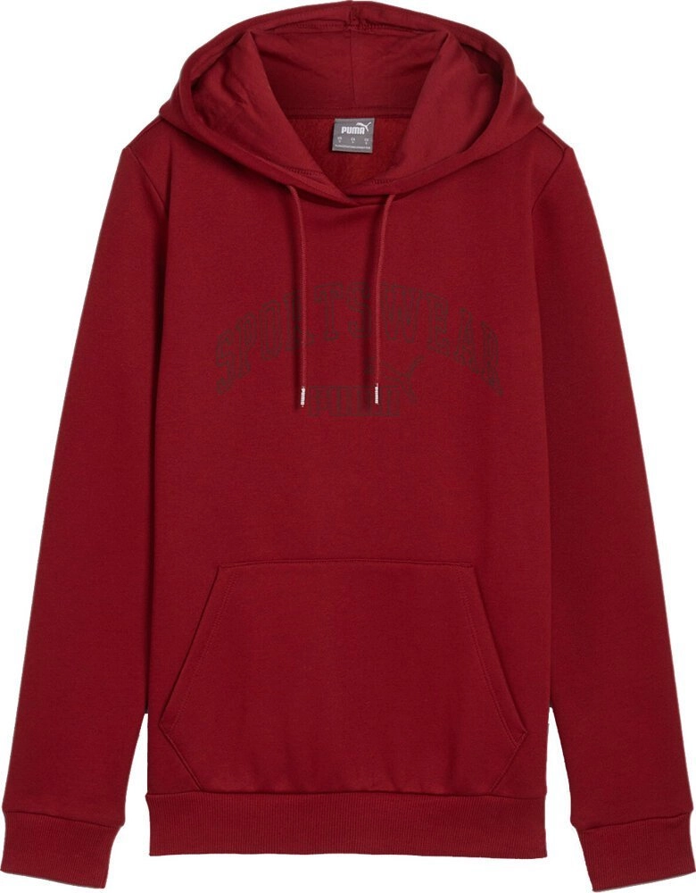 Puma Ess+ Logo LAB Hoodie FL