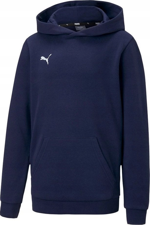 Puma teamGOAL 23 Casuals Hoody Jr