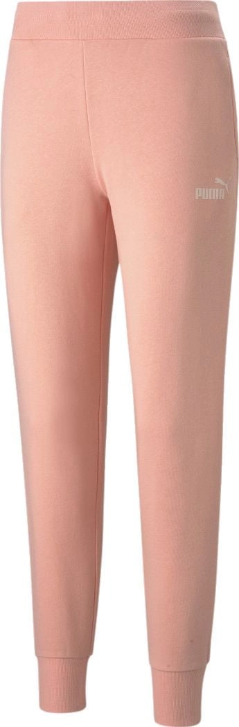 Puma Puma Essential Logo Pants 586841-26