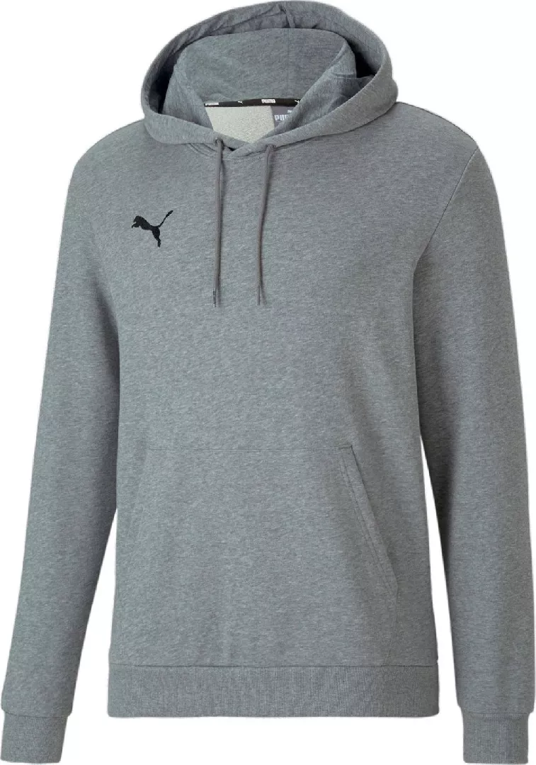 Puma teamGOAL 23 Causals Hoody grey