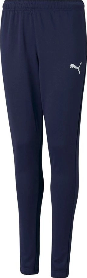Puma teamRISE Poly Training Pants Jr