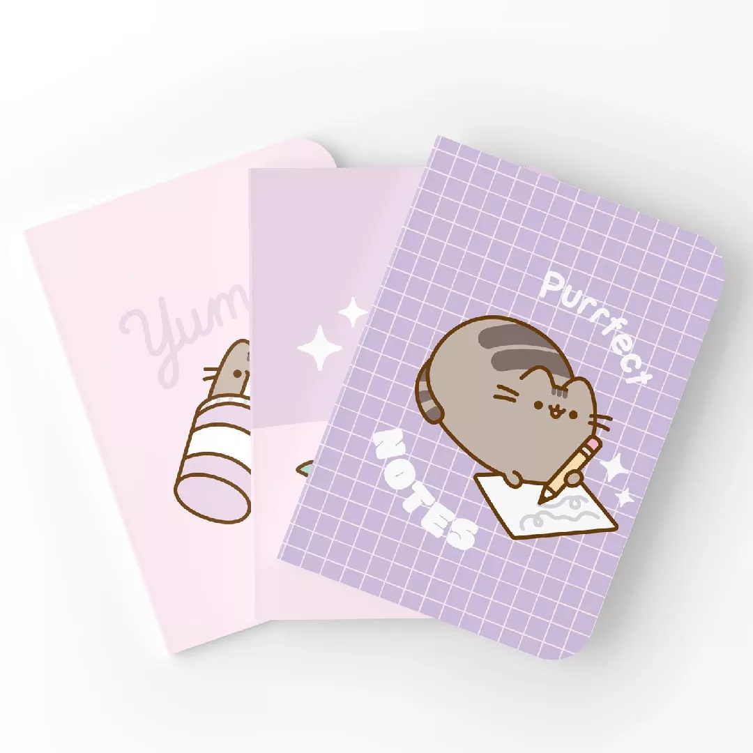 Pusheen - Set of A5 notebooks