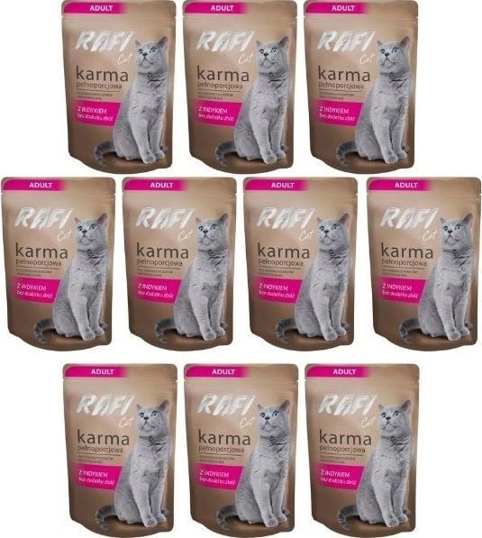 Rafi RAFI CAT sachet 100g ADULT