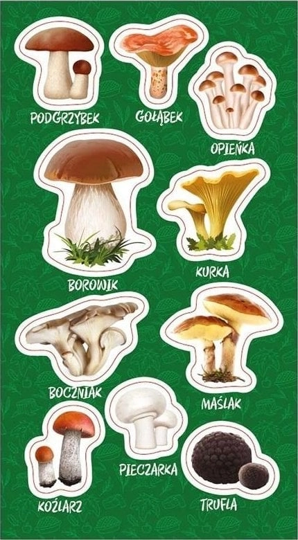 Morning Stickers Edible mushrooms 522340 4823076153069