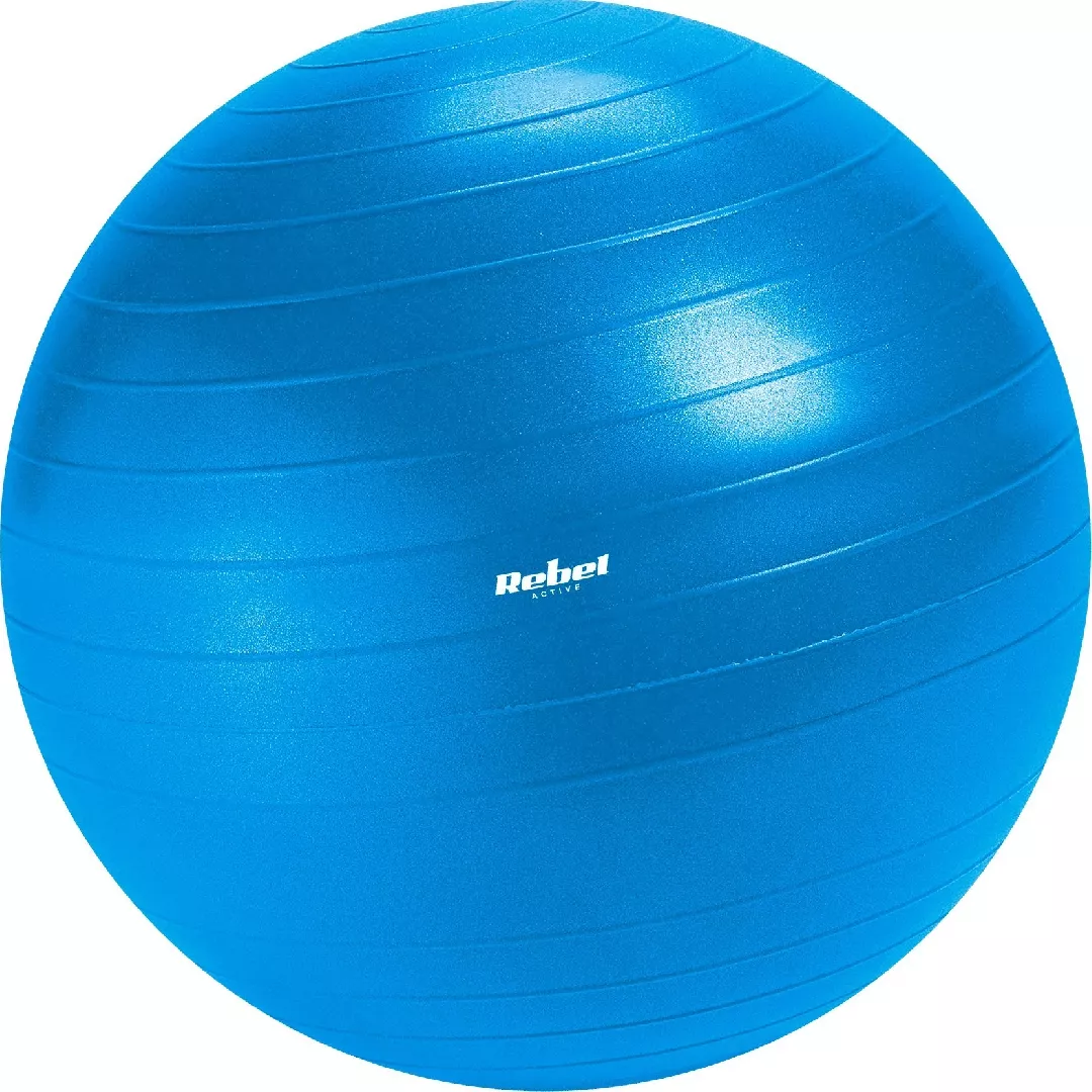 Rebel Rehabilitation gymnastics ball 65 cm