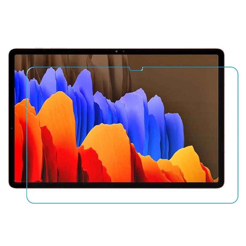 Riff Screen protector for LCD screen
