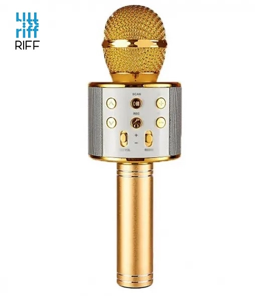 Riff WS-858 Karaoke Microphone with Speakers