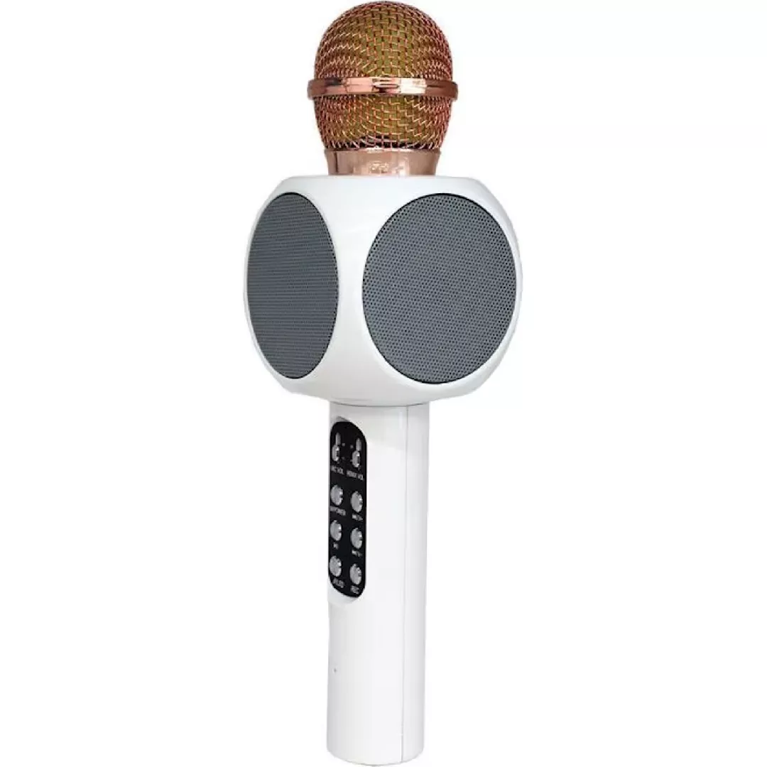 Riff WS-1816 16W karaoke BT microphone