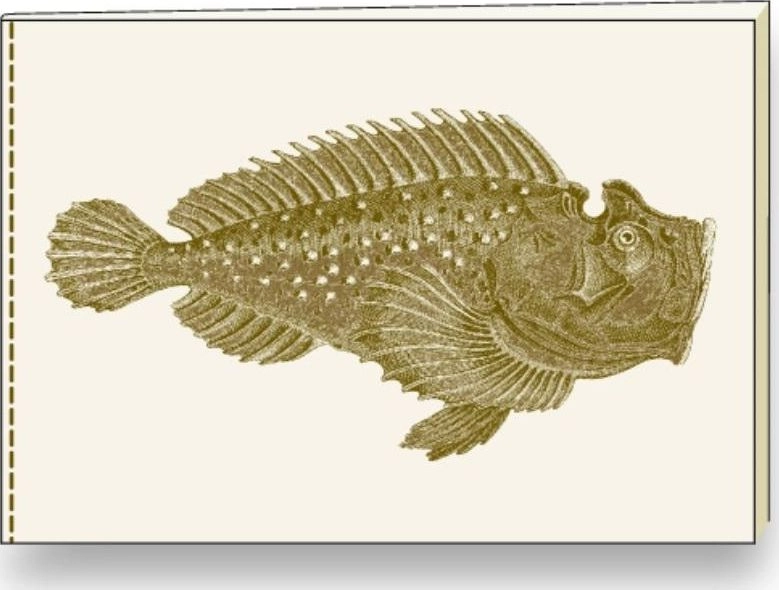 Rossi Decorative notebook A5 BR NB