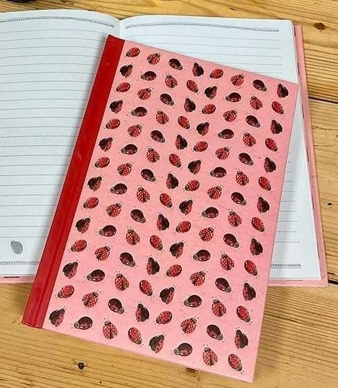 Notebook A5 SHB05 Biedronki TW 5060108701013