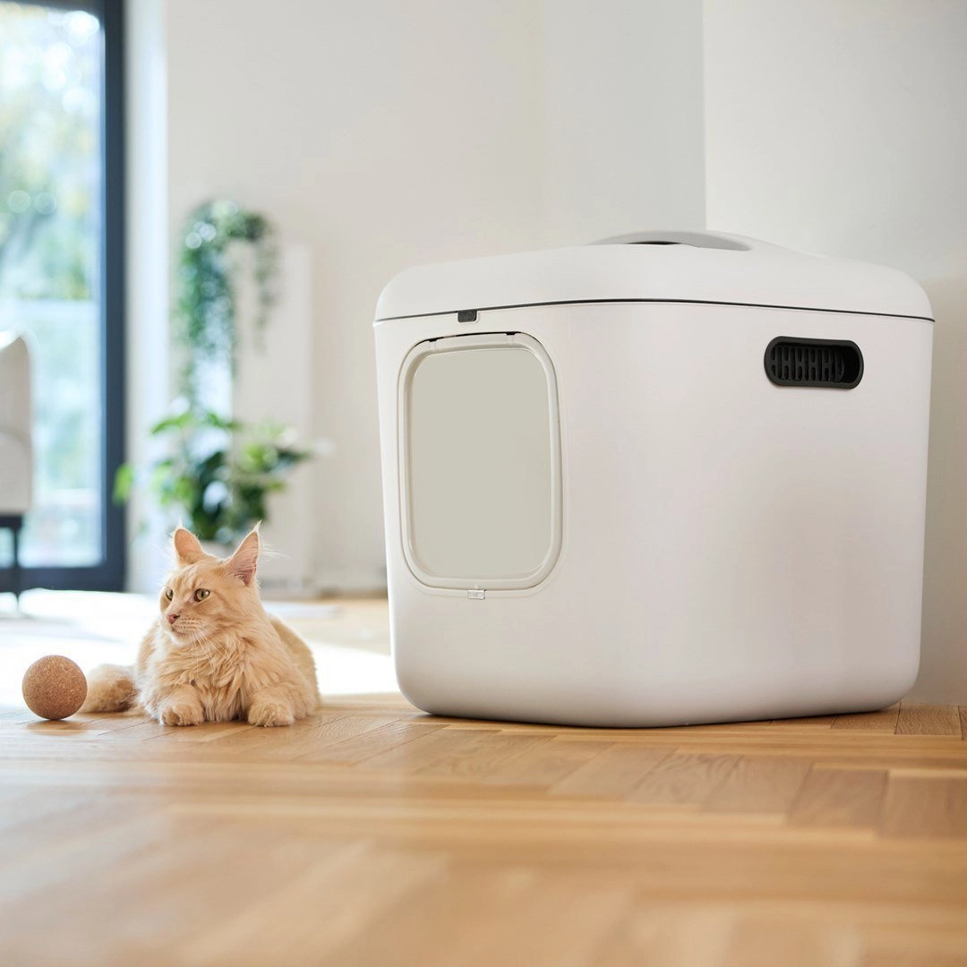 ROTHO Biala XL white - cat