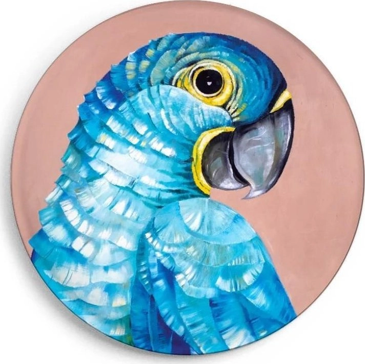 Hyacinth Modroara magnet 4262359952058
