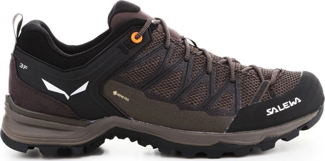 Salewa Mountain Trainer Lite GTX hiking
