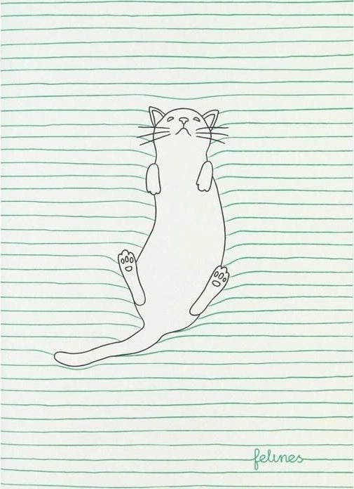 Small Notebook - Feline Fine (Green)