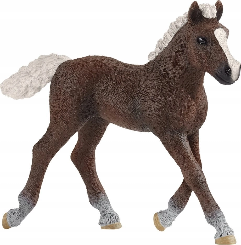 Figurine Schleich Schleich 17077 Black Forest