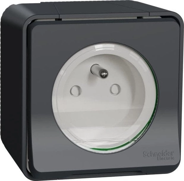 Schneider Electric Mureva Styl Gniazdo 2P+PE