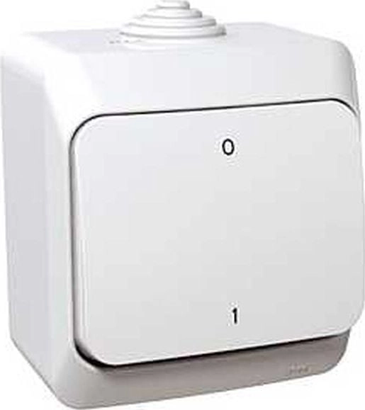 Schneider Electric Cedar Plus Łącznik dwubiegunowy