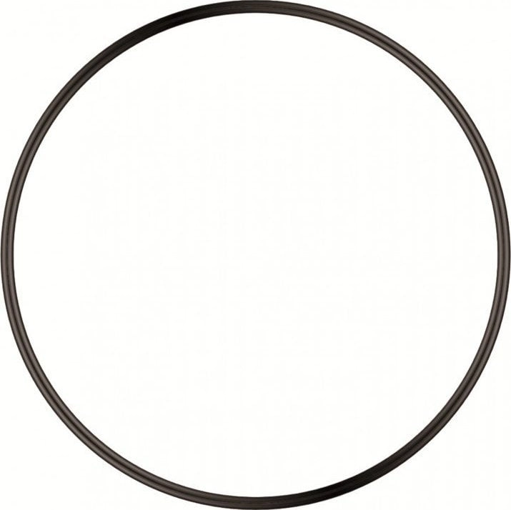 Sera O-ring seal for PS 130