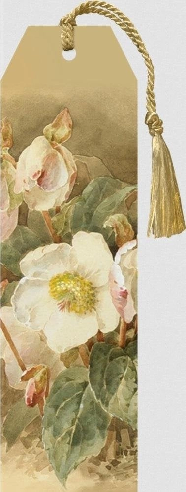 Bookmark 101 with ribbon White hellebore