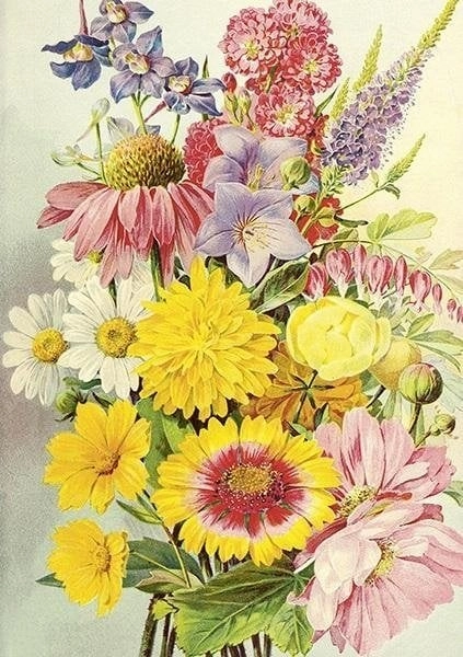 ST474 B6 card + Summer flowers