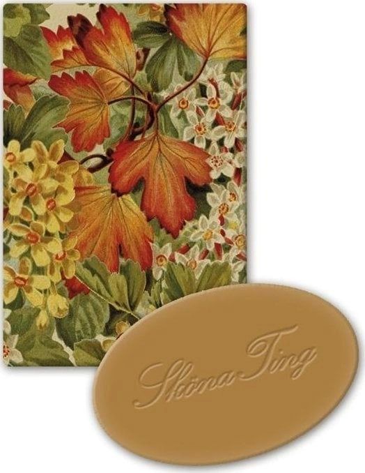 Decorative soap STTVAL635 orange scent 7340117747355