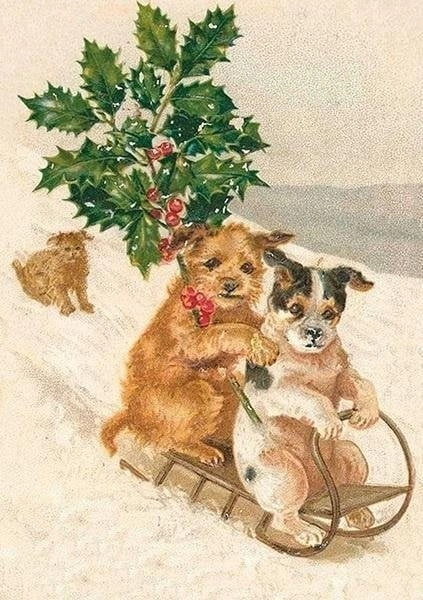ST327 B6 pass + envelope Christmas