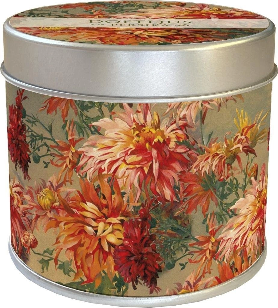 Orange scented candle. dahlia - the