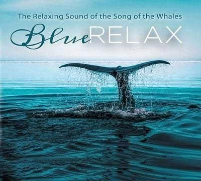 Blue Relax s- Song og the