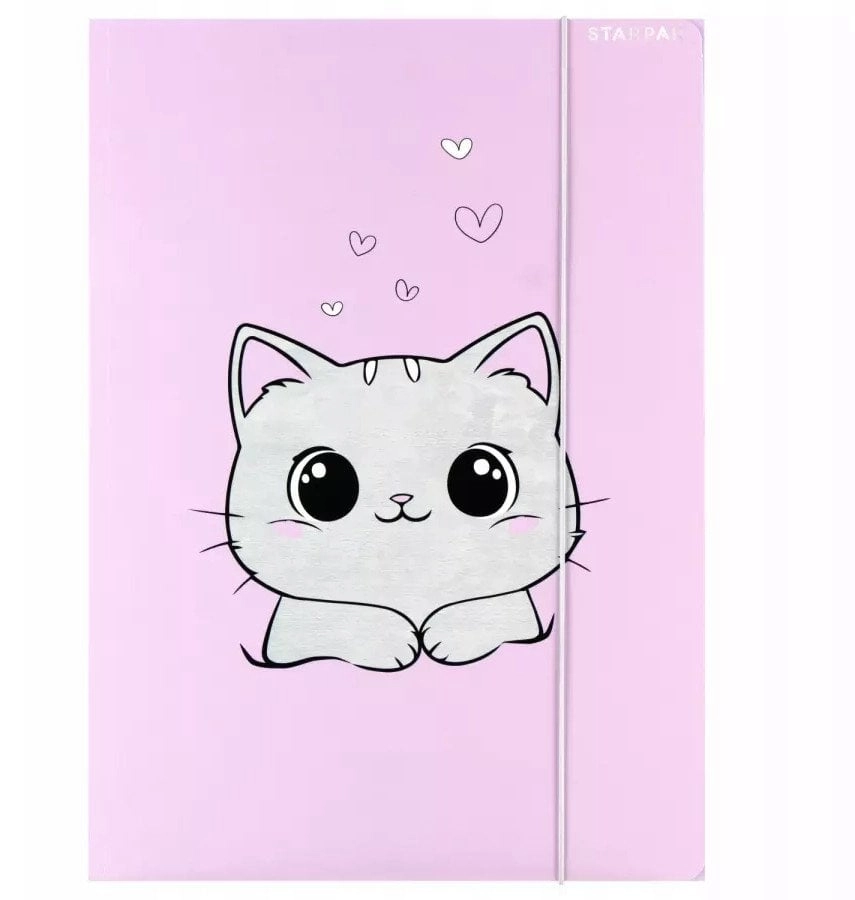FILE WITH ERASER PAP A4 CAT