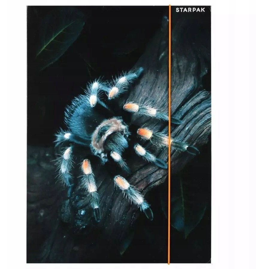 FILE WITH ERASER PAP A4 SPIDER