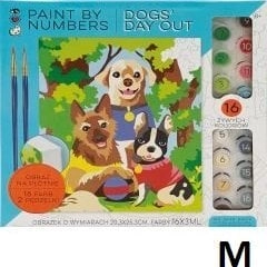 Painting by numbers Psy 9202 STNUX