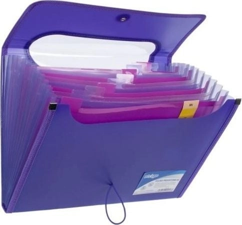 Strigo A4 folder with 12 V-file