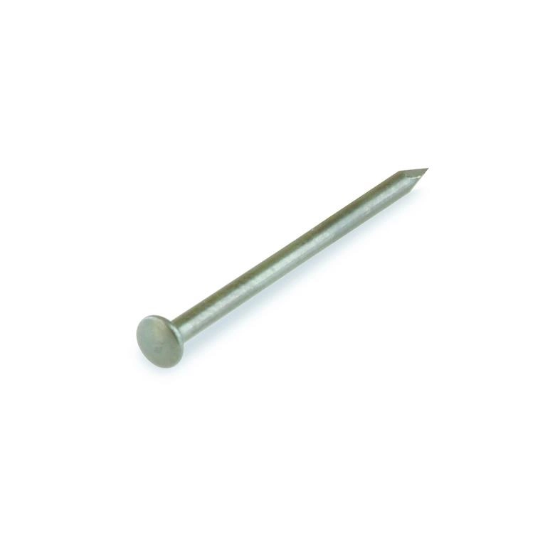 ST.NAIL 2 0X16 BLUED/HARD OVAL
