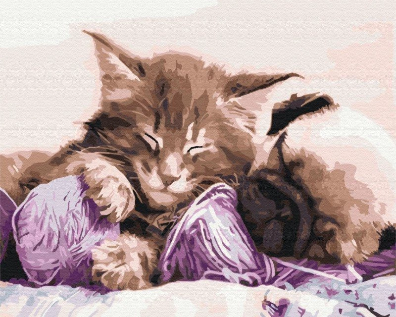 Paint it! Painting by numbers. Cat