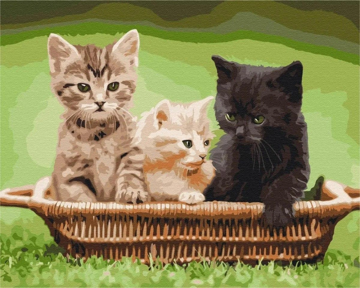 BS52621 Painting by numbers Cats in
