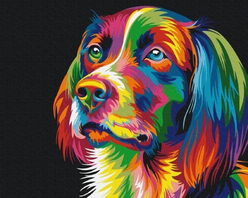 BS5251 Painting by numbers Dog in