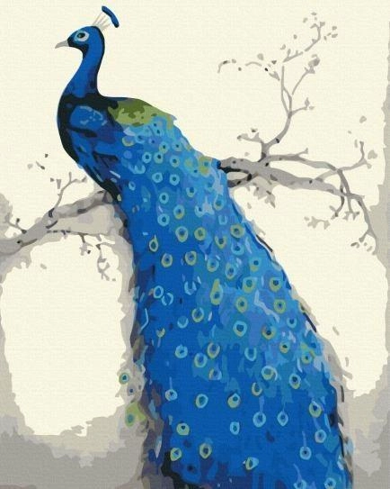 BS52249 Painting by numbers Blue peacock