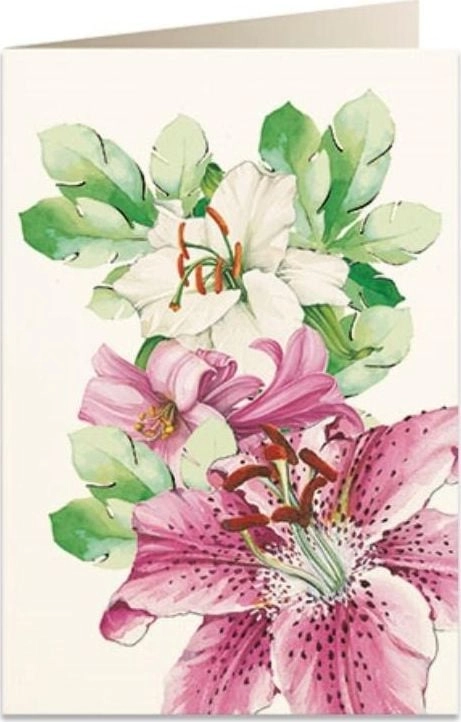 B6 pass + envelope 5931 Lilies