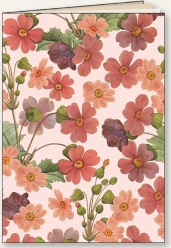 Tassotti Decorative notebook A5/48K Daisy line