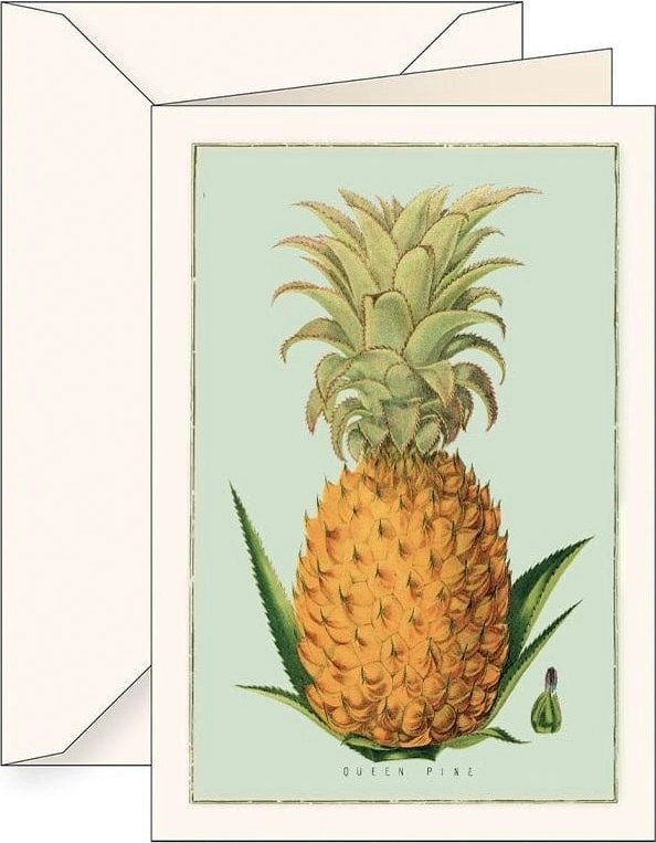 B6 pass + envelope 5960 Ananas