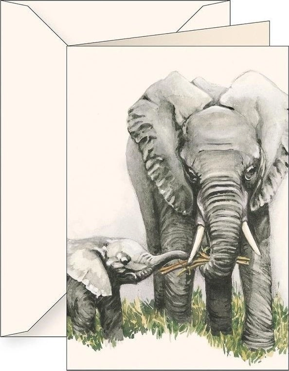 B6 pass + envelope 7506 Elephants