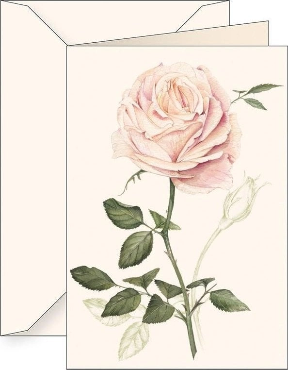 B6 card + envelope 6165 Róża
