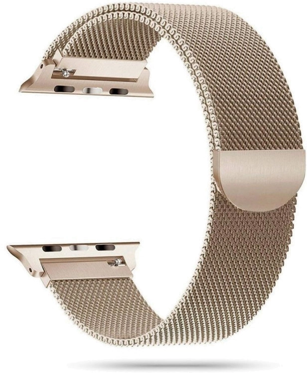 Tech-Protect TECH-PROTECT MILANESEBAND APPLE WATCH 1/2/3/4/5